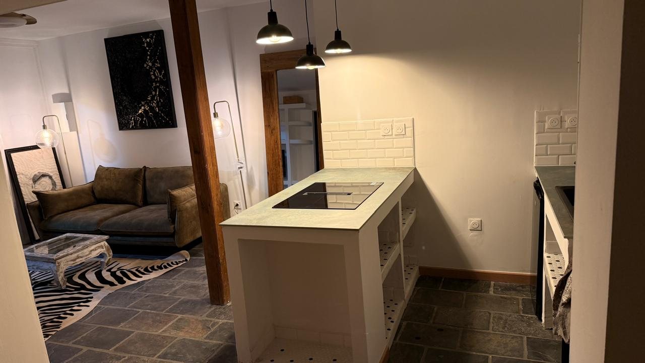 La cuisine entièrement équipée, plan de travail et plaque à induction, ouverte sur le salon